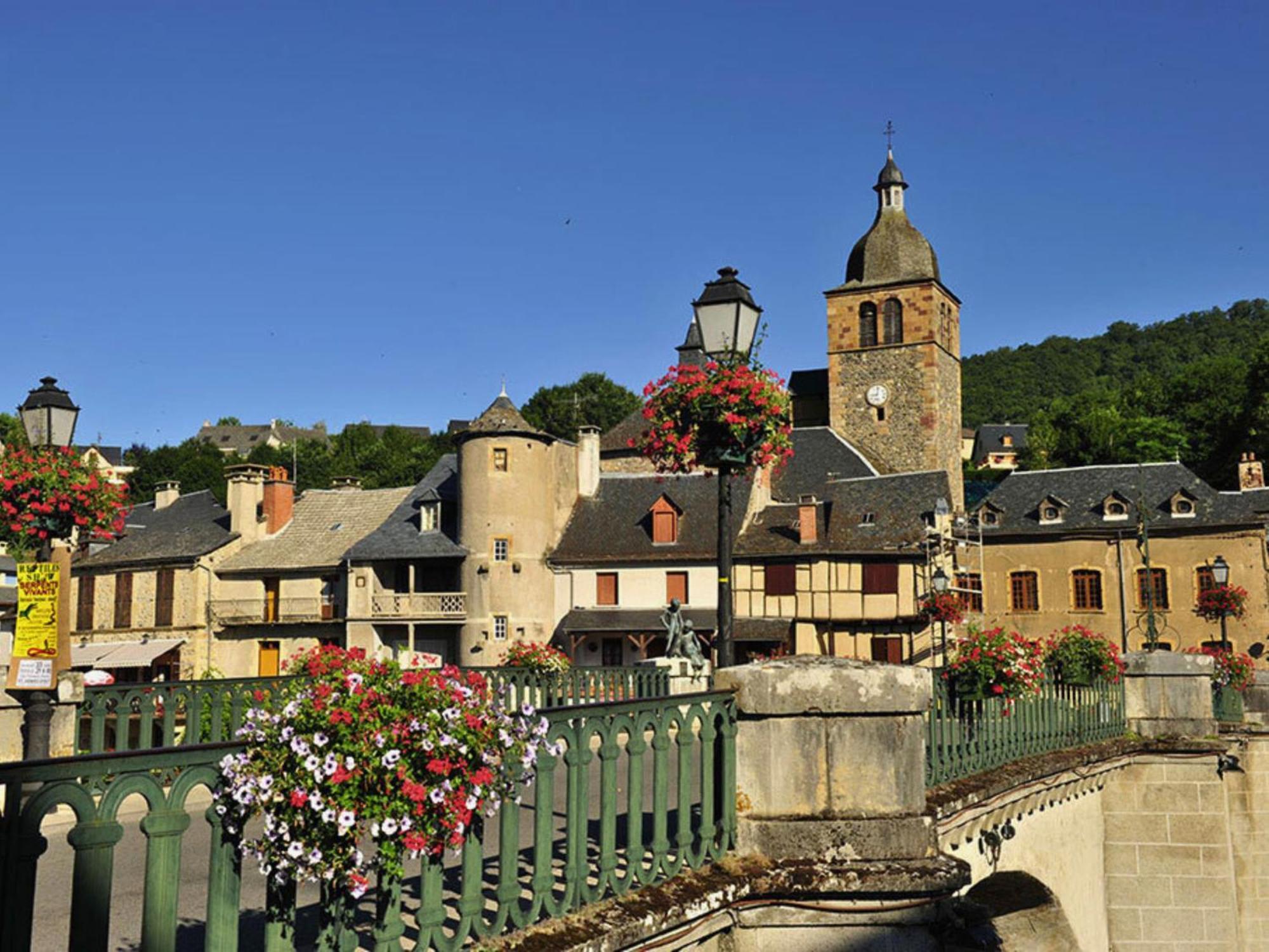 La Maison Bleue, Village Vacances, Piscine, Parking Saint-Geniez-dʼOlt Buitenkant foto
