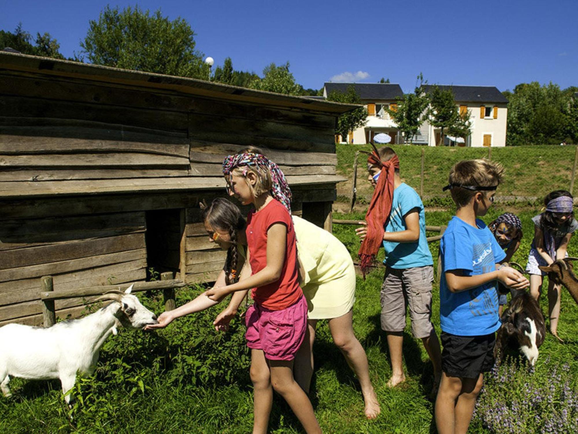 La Maison Bleue, Village Vacances, Piscine, Parking Saint-Geniez-dʼOlt Buitenkant foto